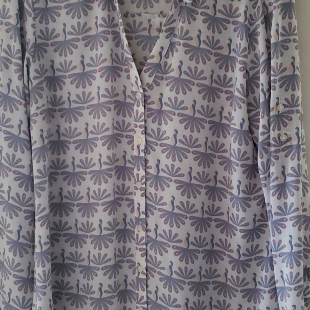 Express Size L blouse